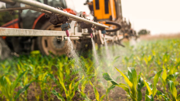 Best Pest Removal Services  in Fraser, CO